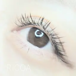 フラットラッシュ200本までつけ放題