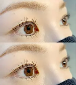 うる艶✨ラッシュリフト上下