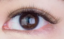 ・次世代ボリュームラッシュ✩.*˚6D 300本