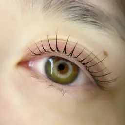 ［平日限定］ご新規様価格/韓国風束感まつ毛パーマ