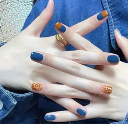 シンプルコース