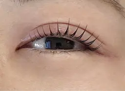 プランプラッシュリフト　コーティング付き