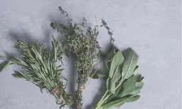 フェイスデザインコース