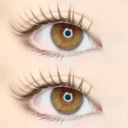 【オフあり】フラットラッシュ120本まで付け放題🌟※お時間内であれば追加可能。120本以上希望の方はコメント必須