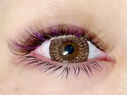 3回目まで利用OK♪3Dボリュームラッシュ80束（400本相当）