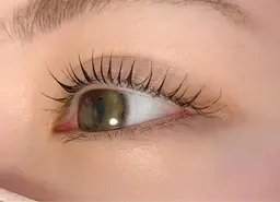 ［オフ無し］シルク、ミンク、セーブル試しマツエク６０本