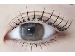 【セーブル80本】付け足し不可