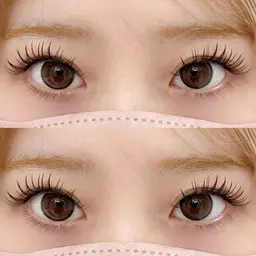 パリジェンヌラッシュリフト＆ハリウッドブロウリフト