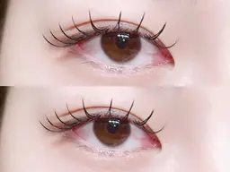 【2.3回目25％オフ】👑フラットラッシュ120本まで付け放題