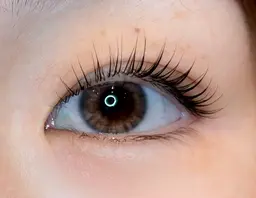 【12月26日限定🌹】まつげパーマorパリジェンヌ🫧　⚠️現金不可