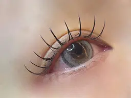 🎀学割U24🎀大人気‎🤍韓国風束感仕上げマツエク‎🤍100本【オフ込み⠀】