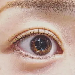 アイブロウワックス×ラッシュリフト🌼