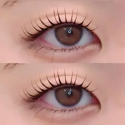 🌟年末限定価格🌟パリジェンヌorラッシュリフト💞