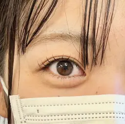 まつ毛カール(上のみ)