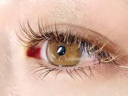 🌼全員【こだわり26色♪フルカラーエクステ】140本◆オードリーコレクション変更可