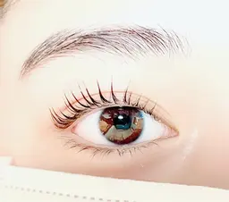 【パリジェンヌラッシュリフト＆新HBLハリウッドブロウリフト】