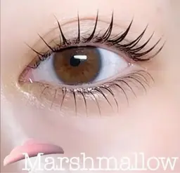 上下ラッシュリフト🪄