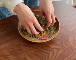 ビオスチーム40分