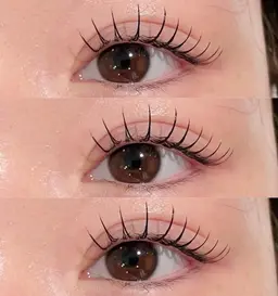 韓国より輸入🇰🇷【マスカラパーマ】SNS人気爆発🧸まつ毛パーマ×ブラックティント¥5500😊