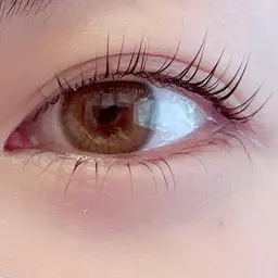 ラッシュリフト【上下】