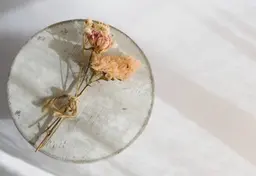 🌷口コミ専用🌷