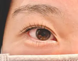 パリジェンヌラッシュリフト(上下)