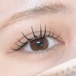 マツエク/フラットラッシュ 100本