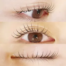 【1/18限定】Jr.アイリスト練習モデル☆まつ毛パーマ+トリートメント　　90分　¥0