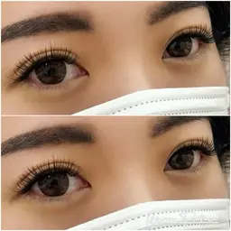 🌾ボリュームラッシュ🌾　120束　オフ無し[立川]