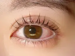 パリジェンヌラッシュリフト上下