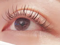 【マツエク】Wフラットラッシュ60本《Jrアイリスト》オフなし/付け足し不可