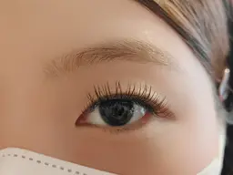 16日10:00〜のみ!!【フラットラッシュ★160本まで】