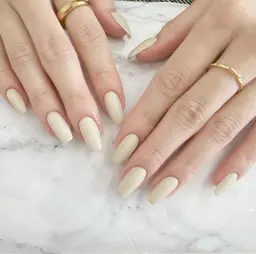 ワンカラー(オフ込み)