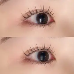 当日限定！パリジェンヌラッシュリフト