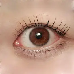 【12月限定メニュー🎄⠀】上下まつげパーマ 潤いアイパック付き️🫧