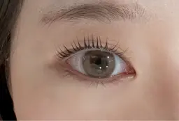 ❤︎ ͛⟡.⋆オフなし／無料まつ毛パーマモデル🐈‍⬛🤍