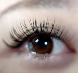 フラットラッシュ120本6500円