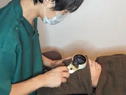 癒され効果MAXドライヘッドスパ&温熱灸60分