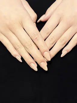 チップ長さ10本+500色マグネット/ワンカラー/ラメ（オフ别料金）