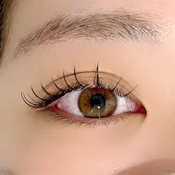 🌼高級セーブル100本🌼オフ・コーディング込み👀✨