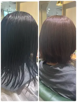 カット+ ワンカラー (毛先までカラー)[現金のみ]