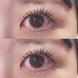 本日限定💞まつ毛パーマ上下🐶💞