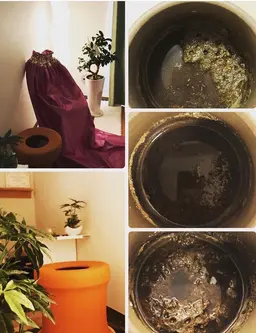 黄土よもぎ蒸し35分