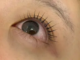 🤎パリジェンヌラッシュリフト🤎