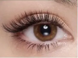 【ご新規様🕊️】バインドロック100束​〜​120束👁️✨モデル(オフ込み)