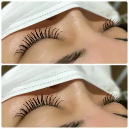 LEDバインドラッシュ60束