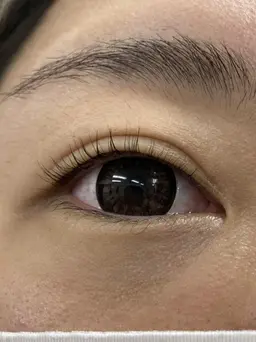 話題沸騰！パリジェンヌラッシュリフト