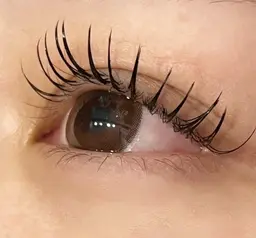 【‎🤍ミニモ特別価格】マツエク120本🌷コーティング付き✨️