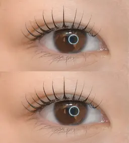 ✨12月15日限定.まつげパーマ✨ コーティング仕上げ🫧