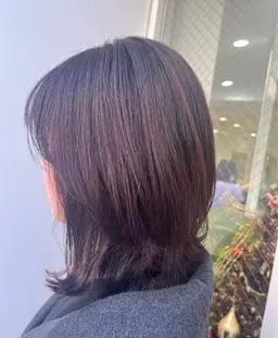 🫖レディースカット＋黒染めカラー＋トリートメント🪄🐈‍⬛🎀